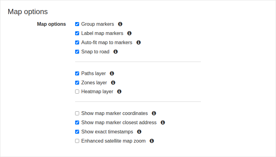 Map options for marker grouping, layers, popup details, road snapping and satellite zoom.